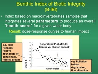 Benthic Index of Biotic Integrity
                                  (B-IBI)
• Index based on macroinvertebrates samples that
  integrates several parameters to produce an overall
  “health score” for a given water body
     Result: dose-response curves to human impact


e.g. Taxa                     Generalized Plot of B-IBI
richness,                     Scores vs. Human Impact
relative
abundance of
certain taxa,
feeding groups
                 er oc SI B
                          I




                                                          e.g. Pollution,
                                                          habitat
                                   Human Impact
                                                          degradation,
                                                          flow alteration
 