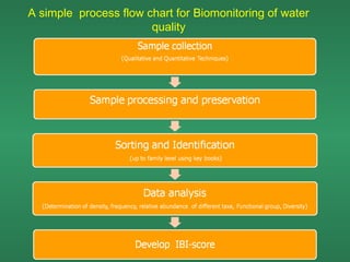 A simple process flow chart for Biomonitoring of water
                       quality
 