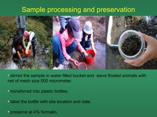 Sample processing and preservation




• stirred the sample in water filled bucket and sieve floated animals with
net of mesh size 500 micrometer.

• transferred into plastic bottles.

• label the bottle with site location and date.

• preserve at 4% formalin.
 