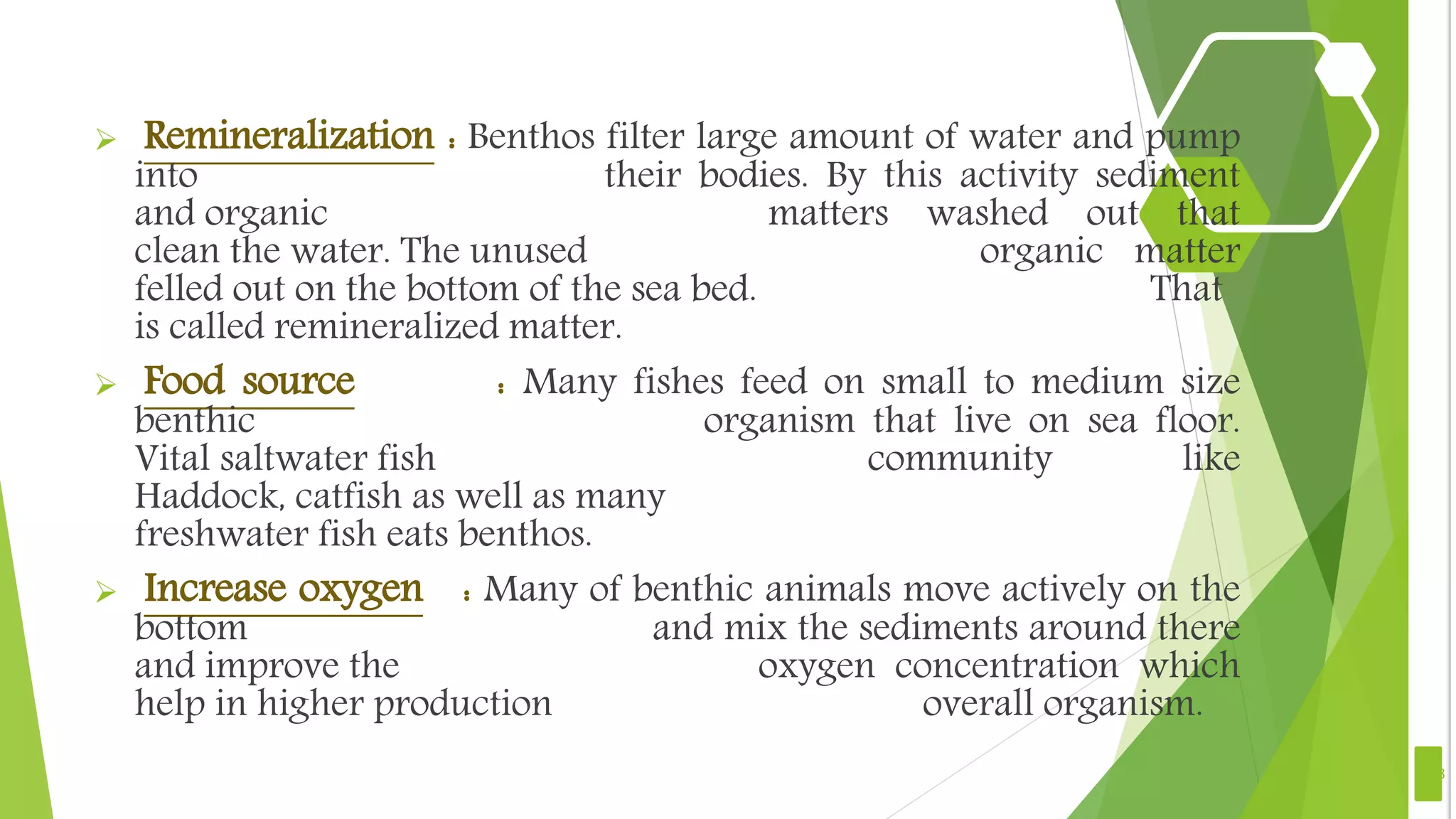  Remineralization : Benthos filter large amount of water and pump
into their bodies. By this activity sediment
and organic matters washed out that
clean the water. The unused organic matter
felled out on the bottom of the sea bed. That
is called remineralized matter.
 Food source : Many fishes feed on small to medium size
benthic organism that live on sea floor.
Vital saltwater fish community like
Haddock, catfish as well as many
freshwater fish eats benthos.
 Increase oxygen : Many of benthic animals move actively on the
bottom and mix the sediments around there
and improve the oxygen concentration which
help in higher production overall organism.
18
 