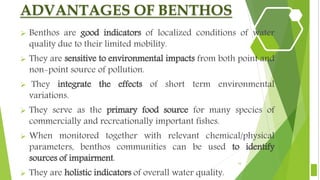 ADVANTAGES OF BENTHOS
 Benthos are good indicators of localized conditions of water
quality due to their limited mobility.
 They are sensitive to environmental impacts from both point and
non-point source of pollution.
 They integrate the effects of short term environmental
variations.
 They serve as the primary food source for many species of
commercially and recreationally important fishes.
 When monitored together with relevant chemical/physical
parameters, benthos communities can be used to identify
sources of impairment.
 They are holistic indicators of overall water quality.
16
 