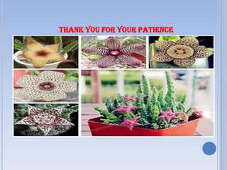 THANK YOU FOR YOUR PATIENCE
 
