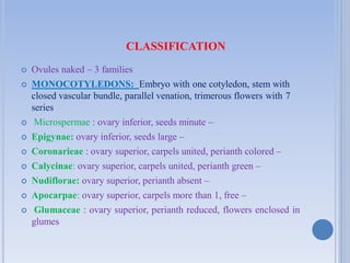 CLASSIFICATION
 Ovules naked – 3 families
 MONOCOTYLEDONS: Embryo with one cotyledon, stem with
closed vascular bundle, parallel venation, trimerous flowers with 7
series
 Microspermae : ovary inferior, seeds minute –
 Epigynae: ovary inferior, seeds large –
 Coronarieae : ovary superior, carpels united, perianth colored –
 Calycinae: ovary superior, carpels united, perianth green –
 Nudiflorae: ovary superior, perianth absent –
 Apocarpae: ovary superior, carpels more than 1, free –
 Glumaceae : ovary superior, perianth reduced, flowers enclosed in
glumes
 