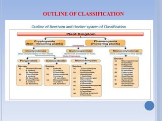 OUTLINE OF CLASSIFICATION
 