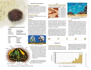 Atributos de la especie                                                      Tabla 1
                                                                                                                                   Esquema comparativo de épocas de desove
                                                                  Distribución zoogeográfica                                        del erizo en diferentes regiones de Chile
                                                                  La especie se distribuye en el litoral de las provin-
                                                                  cias biogeográficas peruana, centrochilena y                                                                                         Guisado et. al., 1998




                                                                                                                                                                                                                                                                                                                                                                                       E S P E C I E S
                                                                  magallánica (costa de Perú y Chile). La distribu-                                                                                    Guisado et. al., 1998
                                                                                                                                                                                                       Guisado et. al., 1998
                                                                  ción zoogeográfica latitudinal va desde Islas Lo-                                                                                    Zamora y Stotz, 1992
                                                                  bos Afuera (6° LS) en Perú a Cabo de Hornos                                                                                          Guisado et. al., 1998
                                                                                                                                                                                                       Guisado et. al., 1998
                                                                  (55°), en Chile (Castilla, 1990).                                                                                                    Guisado et. al., 1998
                                                                                                                                                                                                       Guisado et. al., 1998




                                                           ○
                                                                  Distribución batimétrica                                                                                                              Reyes et. al., 1991




                                                           ○
                                                                  Esta especie se distribuye entre los 0 m a 340 m                                                                                      Arias et. al., 1995




                                                           ○
                                                                                                                                                                                                        Marín et. al., 1997
                                                                  de profundidad.                                                                                                                                                          Fig. 3. Ciclo de vida de Erizo (Modificado de




                                                           ○
                                                                                                                                       = época de desove
                                                                                                                                                                                                                                                   Bustos y Olave, 2001)




                                                           ○
                                                                  Biología




                                                                                                                                                                                                                                                                                                                                                                                       B E N T O N I C A S
                                                           ○
                                                                                                                                                                                                                                           Ecología




                                                           ○
                                                                  Animal deuterostomado, posee un caparazón o “tes-                Presenta fecundación externa (Fig. 3), cuyos em-




                                                           ○
                                                                  ta” globoso cubierto de espinas calcáreas quebra-                briones se transforman en larvas pluteus que                                                            Habita como epifauna en fondos duros. Tiene un



                                                           ○
                                                                  dizas (Fig. 1), conformado por 10 placas calcáreas               permanecen por dos o tres semanas en el plancton                                                        comportamiento gregario (forma grupos desde


                                                           ○
                                                                                                                                                                                                                                           unos pocos individuos hasta millares) principal-

                                                           ○
                                                                  (denominadas ambulacrales e interambulacrales),                  para luego metamorfosear hacia un juvenil de eri-
                                                           ○
                                                                  lo que se conoce como simetría pentaradial. Las                  zo (Bustos y Olave, 2001) que se asienta al                                                             mente para protegerse de los depredadores (pe-
                                                           ○                                                                                                                                                                               ces, estrellas de mar y jaibas) y para alimentar-
         Identificación de la especie
                                                           ○
                                                                  placas ambulacrales están perforadas para permitir               sustrato (roca o conchillas).
                                                                                                                                                                                                                                           se de frondas de algas flotantes o ramonear so-
                                                           ○


                                                                  la acción de los pies ambulacrales, estructuras que
                                                           ○




      Nombres                                                     permiten la movilización del erizo. La boca o placa              El crecimiento es lento (1 a 3 mm por mes en prome-                                                     bre el sustrato. Posee mayor actividad nocturna
                                                           ○




      Común              :      Erizo comestible                  bucal, posee un sistema dental denominado “Linter-               dio), alcanzando tallas máximas de 120 a 130 mm. La                                                     y cuando queda expuesto al sol se cubre con
                                                           ○




      Científico         :      Loxechinus albus                                                                                   talla mínima legal (70 mm) la alcanza entre los 4 y 5                                                   trozos de alga y conchilla. Habita sobre sustrato
                                                           ○




                                                                  na de Aristóteles” (Fig. 2) que esta en contacto con
                                                           ○




      Internacional      :      red sea-urchin                    el sustrato permanentemente, mientras que el ano                 años de edad. La talla crítica oscila cercana a los 60 a                                                rocoso en el intermareal y submareal somero,




                                                                                                                                                                                                                                                                                                                                                                                       D E
                                                           ○




      Símil comercial    :      Strongylocentrotus spp                                                                             80 mm y la talla de primera madurez sexual se alcan-                                                    cercano a praderas de macroalgas (Contreras y
                                                           ○




                                                                  se ubica en la región aboral del caparazón.
                                                                                                                                   za entre los 40 a 50 mm. (Barahona et. al., 2003).                                                      Castilla, 1987).
                                                           ○
                                                           ○




      Posición Taxonómica




                                                                                                                                                                                                                                                                                                                                                                                       I M P O R T A N C I A
                                                           ○




                                                                                                                                   e                                                 r                                             i                                      z                                          o
      Phylum        : Echinodermata
                                                           ○
                                                           ○




      Clase         : Echinoidea
                                                           ○




      Orden         : Equinoida
                                                           ○




                                                                                                                           ○   ○   ○   ○   ○   ○          ○      ○   ○   ○   ○   ○   ○    ○    ○   ○     ○   ○    ○   ○   ○    ○   ○   ○    ○   ○    ○   ○   ○    ○   ○   ○    ○   ○   ○    ○   ○   ○    ○   ○   ○   ○   ○                                                 ○   ○

      Familia       : Echinidae
      Género        : Loxechinus                                         vista lateral              vista frontal                                                        Pesquería
                                                                           Fig. 2. Linterna de Aristóteles                                                                                                                                 sobrepasaron las 5.000 t. A partir de 1977, producto
                             región aboral (ano)                                                                                   Serie histórica de desembarques                                                                         del fomento a las exportaciones iniciado a fines de los
          esófago
                                                                     El erizo es detritívoro en sus etapas juveniles               Los registros históricos de desembarques a nivel na-                                                    ‘70, los desembarques del recurso se incrementaron a
                                                         testa
                                                                        y herbívoro como adulto. Posee sexos se-                   cional se remontan a la década del 30 en el siglo                                                       razón de 2.000 t anuales, llegándose a un máximo
gónada
                                                                          parados (dioico), sin dimorfismo sexual                  pasado. Hasta el año 1976, las capturas nacionales no                                                   histórico de 55.000 t en 1999 (Fig. 4).
                                                                            externo. Posee 5 gónadas conocidas




                                                                                                                                                                                                                                                                                                                                                                                       C O M E R C I A L
                                                                             normalmente como “lenguas”, estruc-
                                                                                                                                                                 6.000
                                                                             turas que han ocasionado la explota-




                                                                                                                                                                                                                                                                                                                         Elaborada a partir de información de Sernapesca
                                                                             ción comercial de este invertebrado,                                                5.000
                                                                             dado que el resto del animal no es uti-
                                                                                                                                               Desembarque (t)



                                                                                                                                                                 4.000
                                                                             lizado por el ser humano (Contreras y
                                                                             Castilla, 1987).                                                                    3.000
                                                                                                                                                                 2.000
                                                                           Las diferencias en su época de desove a
                                                                        lo largo del país (Tabla 1), serían atribuibles,                                         1.000
                                                                      según se postula, a la temperatura.                                                                0
   linterna de Aristóteles       región oral (boca)   intestino                                                                                                                      44            50            56       62           68           74           80       86           92           98

      Fig. 1. Anatomía general de un erizo (Modificado de Barnes, 1986)                                                                                                                       Fig. 4. Desembarque Nacional 1938 - 2001
                                                                                                                                                                                                                                                                                                                                                                                   5
 