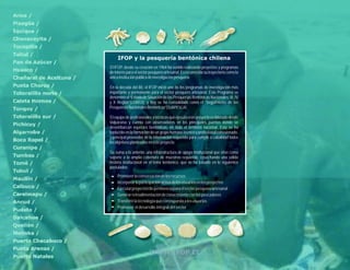 IFOP y la pesquería bentónica chilena
El IFOP, desde su creación en 1964 ha venido realizando proyectos y programas
de interés para el sector pesquero artesanal. Es reconocida su trayectoria como la
única institución pública de investigación pesquera.

En la década del 80, el IFOP inició uno de los programas de investigación más
importante y permanente para el sector pesquero artesanal. Este Programa se
denominó el “Estado de Situación de las Pesquerías Bentónicas Nacionales: III, IV
y X Región”(CORFO), y hoy se ha consolidado como el “Seguimiento de las
Pesquerías Nacionales Bentónicas”(SUBPESCA).

El equipo de profesionales y técnicos que ejecuta este proyecto es liderado desde
Valparaíso y cuenta con observadores en los principales puertos donde se
desembarcan especies bentónicas, en todo el territorio nacional. Esto se ha
traducido en la formación de un grupo humano técnico y profesional cohesionado,
y principal proveedor de la información requerida para cumplir a cabalidad todos
los objetivos planteados en este proyecto.

Se suma a lo anterior, una infraestructura de apoyo institucional que sirve como
soporte a la amplia cobertura de muestreo requerida, cosechando una sólida
historia institucional en el tema bentónico, que se ha basado en lo siguientes
postulados:
    Promover la conservación de los recursos
    Incorporar la participación activa de los usuarios en los proyectos
    Ejecutar proyectos de pertinencia para el sector pesquero artesanal
    Generar retroalimentación de conocimiento con los pescadores
    Transferir la tecnología que corresponda a los usuarios
    Promover el desarrollo integral del sector




                         WWW.IFOP.CL
 