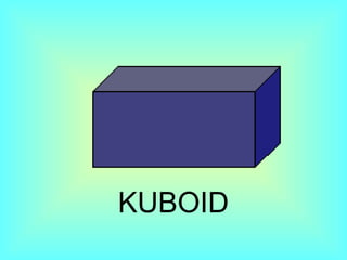 KUBOID 
 