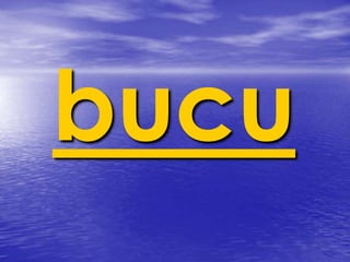 bucu 
 