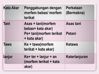 Kata Akar Penggabungan dengan
morfem bebas/ morfem
terikat
Perkataan
(Bermakna)
Tani Asas + tani(morfem
bebas+ kata akar)
Pe+ tani(morfem terikat
+ kata akar)
Asas tani
Petani
Tawa Ke + tawa(morfem
terikat + kata akar)
Ketawa
lanjur Ke+ ter + lanjur + an
(morfem terikat + kata
akar)
Keterlanjuran
 