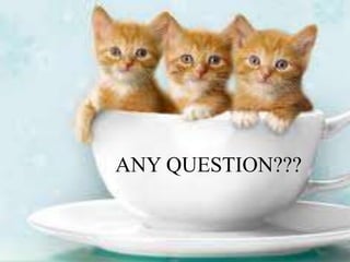 ANY QUESTION???
 