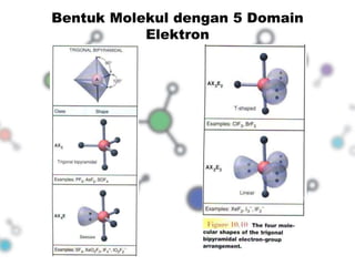 Bentuk Molekul dengan 5 Domain 
Elektron 
 