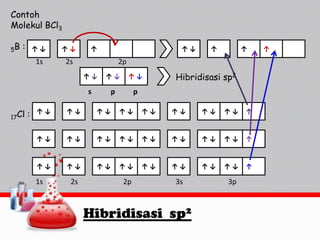 Contoh
Molekul BCl3
5B

:

↑↓

↑↓

1s

↑

↑↓

2s

↑

2p
↑↓

↑↓

↑↓

s
17Cl :

↑

p

Hibridisasi sp2

p

↑↓

↑↓

↑↓

↑↓

↑↓

↑↓

↑↓

↑↓

↑

↑↓

↑↓

↑↓

↑↓

↑↓

↑↓

↑↓

↑↓

↑

↑↓

↑↓

↑↓

↑↓

↑↓

↑↓

↑↓

↑↓

↑

1s

2s

2p

3s

Hibridisasi sp2

3p

↑

 