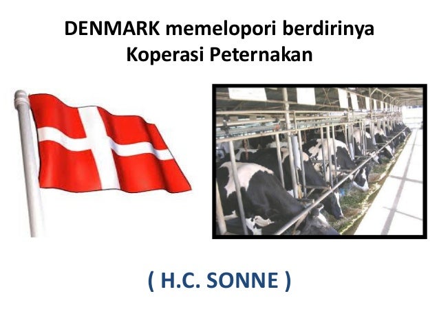 Bentuk Pemilikan Bisnis di Indonesia dan Amerika