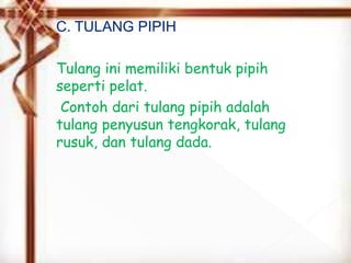 C. TULANG PIPIH
Tulang ini memiliki bentuk pipih
seperti pelat.
Contoh dari tulang pipih adalah
tulang penyusun tengkorak, tulang
rusuk, dan tulang dada.
 