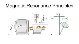 Magnetic Resonance Principles
 