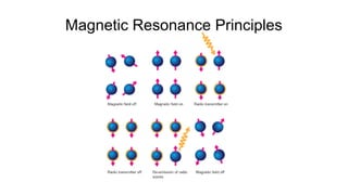 Magnetic Resonance Principles
 