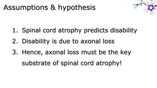Assumptions & hypothesisAssumptions & hypothesis
1.1. Spinal cord atrophy predicts disabilitySpinal cord atrophy predicts disability
2.2. Disability is due to axonal lossDisability is due to axonal loss
3.3. Hence, axonal loss must be the keyHence, axonal loss must be the key
substrate of spinal cord atrophy!substrate of spinal cord atrophy!
 