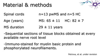 Spinal cordsSpinal cords n=13 pwMS and n=5 HCn=13 pwMS and n=5 HC
Age (years)Age (years) MS: 65 ± 11 HC: 82 ± 7MS: 65 ± 11 HC: 82 ± 7
MS durationMS duration 29 ± 11 years29 ± 11 years
-Sequential sections of tissue blocks obtained at everySequential sections of tissue blocks obtained at every
available nerve root levelavailable nerve root level
-Immuno-stained for myelin basic protein andImmuno-stained for myelin basic protein and
phosphorylated neurofilaments.phosphorylated neurofilaments.
Material & methodsMaterial & methods
Petrova, et al.Petrova, et al. under revisionunder revision
 