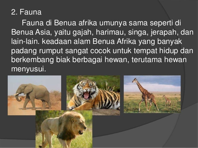 Download 70 Gambar Fauna Yang Ada Di Benua Asia Keren Gratis HD