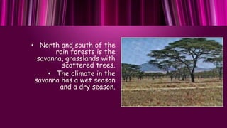 • North and south of the
rain forests is the
savanna, grasslands with
scattered trees.
• The climate in the
savanna has a ...