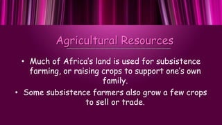 Agricultural Resources
• Much of Africa’s land is used for subsistence
farming, or raising crops to support one’s own
fami...
