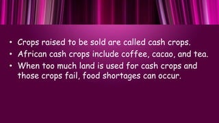 • Crops raised to be sold are called cash crops.
• African cash crops include coffee, cacao, and tea.
• When too much land...