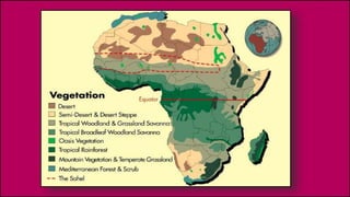• The Kalahari Desert is located in southwestern Africa.
• It covers parts of Botswana, Namibia, and South Africa.
• The r...