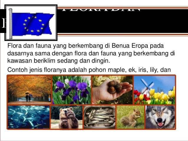 Download 5800 Koleksi Gambar Flora Dan Fauna Yang Ada Di Benua Eropa Terbaik Gratis Download 5800 Koleksi Gambar Flora Dan Fauna Yang Ada Di Benua Eropa Terbaik Gratis