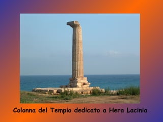 Colonna del Tempio dedicato a Hera Lacinia 
