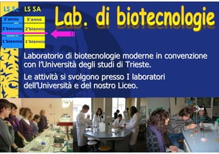 LS Sc LS SA
5°anno
 °        5°anno
           °

2°biennio 2°biennio
 °         °


1°biennio 1°biennio
 °         °


      •   Laboratorio di biotecnologie moderne in convenzione
          con l’Università degli studi di Trieste.
      •   Le attività si svolgono presso I laboratori
          dell’Università e del nostro Liceo.
 