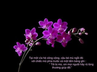 Tại một vỉa hè công cộng, cậu bé mù ngồi đóTại một vỉa hè công cộng, cậu bé mù ngồi đó
với chiếc mũ phía trước và một tấm bảng ghi :với chiếc mũ phía trước và một tấm bảng ghi :
“ Tôi bị mù, xin mọi người hãy rũ lòng“ Tôi bị mù, xin mọi người hãy rũ lòng
thương giúp đỡ.”thương giúp đỡ.”
 