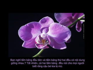 Bạn nghĩ tấm bảng đầu tiên và tấm bảng thứ hai đều có nội dungBạn nghĩ tấm bảng đầu tiên và tấm bảng thứ hai đều có nội dung
giống nhau.? Tất nhiên, cả hai tấm bảng đều nói cho mọi ngườigiống nhau.? Tất nhiên, cả hai tấm bảng đều nói cho mọi người
biết rằng cậu bé kia bị mù.biết rằng cậu bé kia bị mù.
 