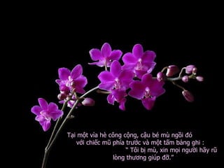 Tại một vỉa hè công cộng, cậu bé mù ngồi đó  với chiếc mũ phía trước và một tấm bảng ghi :  “ Tôi bị mù, xin mọi người hãy rũ lòng thương giúp đỡ.”  