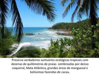 Preserva verdadeiros santuários ecológicos tropicais com dezenas de quilômetros de praias  sombreadas por denso coqueiral, Mata Atlântica, grandes áreas de manguezal e belíssimas fazendas de cacau. 
