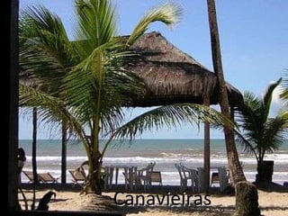 Canavieiras 