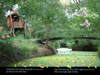 Từng đôi chim trong nắng khẽ ru u ú ù u ú  Lệ mùa rơi lá chan hòa Chim reo thương nhớ, Chim ngân xa u ú ù u ú  Hồn mùa ngây ngất về đâu  