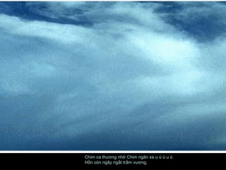 Chim ca thương nhớ Chim ngân xa u ú ù u ú  Hồn còn ngây ngất trầm vương,  