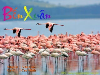 PPs : vang.nguyentai@gmail.com Nhạc sĩ  :  Văn Cao Ca sĩ  : Cao Minh 