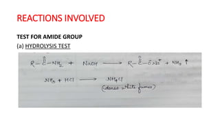 REACTIONS INVOLVED
TEST FOR AMIDE GROUP
(a) HYDROLYSIS TEST
 