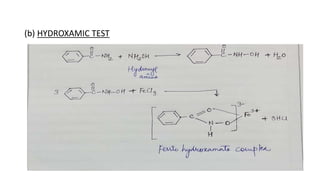 (b) HYDROXAMIC TEST
 