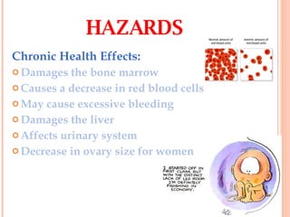 Chronic Health Effects: Damages the bone marrow Causes a decrease in red blood cells May cause excessive bleeding Damages the liver Affects urinary system Decrease in ovary size for women HAZARDS 