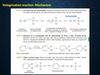 Halogenation reaction- Mechanism
 