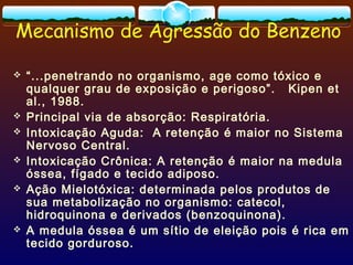 Mecanismo de Agressão do Benzeno
 “...penetrando no organismo, age como tóxico e
qualquer grau de exposição e perigoso”. Kipen et
al., 1988.
 Principal via de absorção: Respiratória.
 Intoxicação Aguda: A retenção é maior no Sistema
Nervoso Central.
 Intoxicação Crônica: A retenção é maior na medula
óssea, fígado e tecido adiposo.
 Ação Mielotóxica: determinada pelos produtos de
sua metabolização no organismo: catecol,
hidroquinona e derivados (benzoquinona).
 A medula óssea é um sítio de eleição pois é rica em
tecido gorduroso.
 