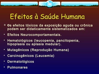 Efeitos à Saúde Humana
 Os efeitos tóxicos da exposição aguda ou crônica
podem ser didaticamente sistematizados em:
 Efeitos Neurocomportamentais.
 Hematológicos (leucopenia, pancitopenia,
hipoplasia ou aplasia medular).
 Mutagênicos (Reprodução Humana)
 Carcinogênicos (Leucemia)
 Dermatológicos

 Pulmonares
 