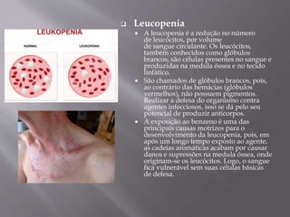  Leucopenia
 A leucopenia é a redução no número
de leucócitos, por volume
de sangue circulante. Os leucócitos,
também conhecidos como glóbulos
brancos, são células presentes no sangue e
produzidas na medula óssea e no tecido
linfático.
 São chamados de glóbulos brancos, pois,
ao contrário das hemácias (glóbulos
vermelhos), não possuem pigmentos.
Realizar a defesa do organismo contra
agentes infecciosos, isso se dá pelo seu
potencial de produzir anticorpos.
 A exposição ao benzeno é uma das
principais causas motrizes para o
desenvolvimento da leucopenia, pois, em
após um longo tempo exposto ao agente,
as cadeias aromáticas acabam por causar
danos e supressões na medula óssea, onde
originam-se os leucócitos. Logo, o sangue
fica vulnerável sem suas células básicas
de defesa.
 