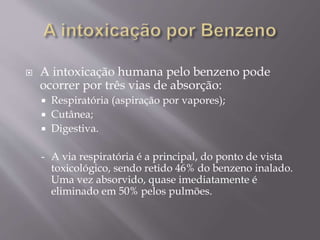  A intoxicação humana pelo benzeno pode
ocorrer por três vias de absorção:
 Respiratória (aspiração por vapores);
 Cutânea;
 Digestiva.
- A via respiratória é a principal, do ponto de vista
toxicológico, sendo retido 46% do benzeno inalado.
Uma vez absorvido, quase imediatamente é
eliminado em 50% pelos pulmões.
 