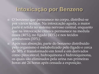  O benzeno que permanece no corpo, distribui-se
por vários tecidos. Na intoxicação aguda, a maior
parte é retida no sistema nervoso central, enquanto
que na intoxicação crônica permanece na medula
óssea (40%), no fígado (43%) e nos tecidos
gordurosos (10%).
 Após sua absorção, parte do benzeno distribuído
pelo organismo é metabolizado pelo fígado e cerca
de 30% é transformado em fenol e em derivados
como pirocatecol, hidroquinona e hidroxiquinona,
os quais são eliminados pela urina nas primeiras
horas até 24 horas após cessada a exposição.
 