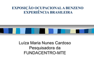 EXPOSIÇÃO OCUPACIONALA BENZENO
EXPERIÊNCIA BRASILEIRA
Luíza Maria Nunes Cardoso
Pesquisadora da
FUNDACENTRO-MTE
 