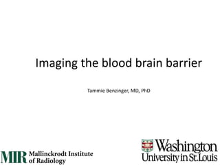 Tammie Benzinger, MD, PhD
Imaging the blood brain barrier
 