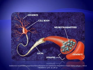 Sedative but not anxiolytic properties of benzodiazepines are mediated by the GABA(A) receptor alpha1 subtype.». Nature neuroscience.3 (6): pp. 587-92